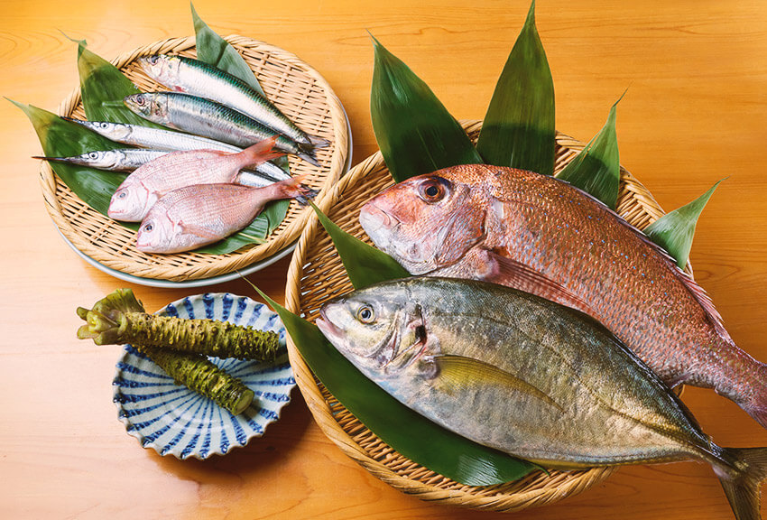魚